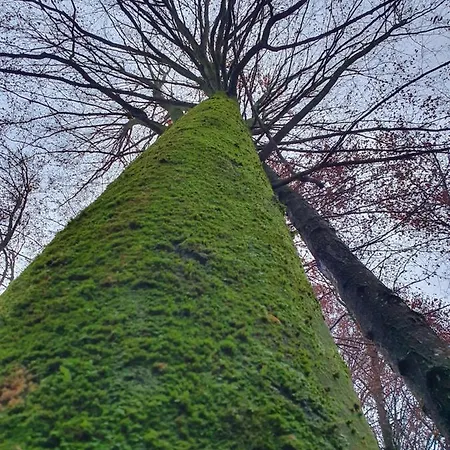 Appartamento Wohlfuehloase Am Trausdorfberg Mit Sauna, Whirlpool Und Panorama Sankt Marein bei Graz