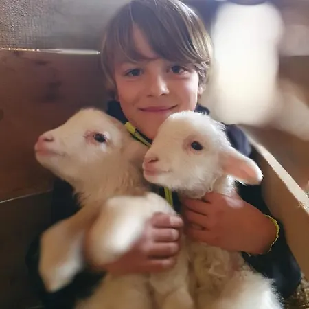 Wohlfuehloase Am Trausdorfberg Mit Sauna, Whirlpool Und Panorama