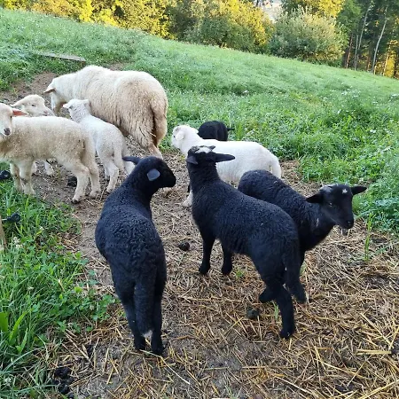 Wohlfuehloase Am Trausdorfberg Mit Sauna, Whirlpool Und Panorama *