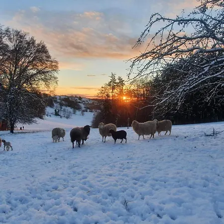 Wohlfuehloase Am Trausdorfberg Mit Sauna, Whirlpool Und Panorama Appartamento Sankt Marein bei Graz