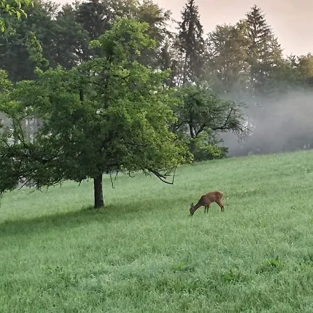 Wohlfuehloase Am Trausdorfberg Mit Sauna, Whirlpool Und Panorama Appartamento *