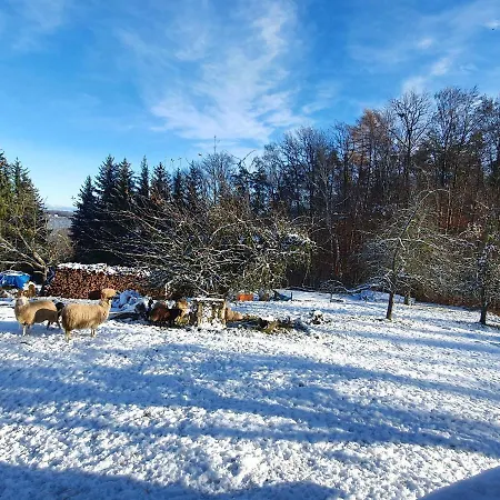 Wohlfuehloase Am Trausdorfberg Mit Sauna, Whirlpool Und Panorama Appartamento *
