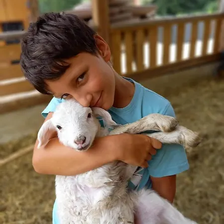 Wohlfuehloase Am Trausdorfberg Mit Sauna, Whirlpool Und Panorama *