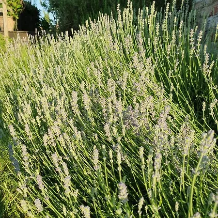 Wohlfuehloase Am Trausdorfberg Mit Sauna, Whirlpool Und Panorama Sankt Marein bei Graz