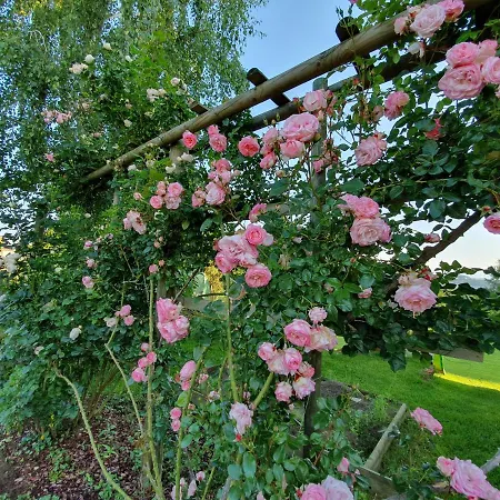 Wohlfuehloase Am Trausdorfberg Mit Sauna, Whirlpool Und Panorama * Sankt Marein bei Graz