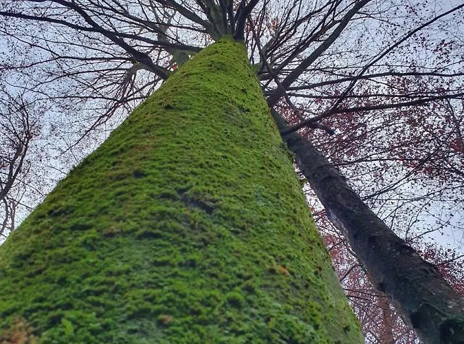 شقة Wohlfuehloase Am Trausdorfberg Mit Sauna, Whirlpool Und Panorama Sankt Marein bei Graz
