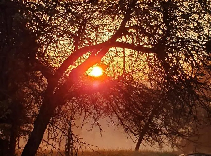 Wohlfuehloase Am Trausdorfberg Mit Sauna, Whirlpool Und Panorama شقة *