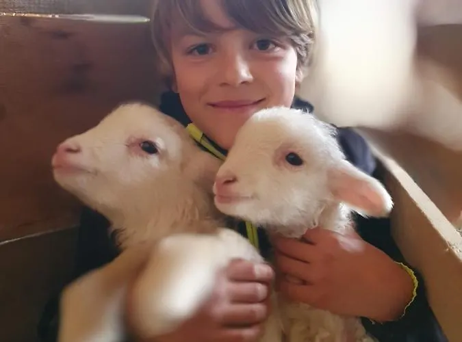 Wohlfuehloase Am Trausdorfberg Mit Sauna, Whirlpool Und Panorama