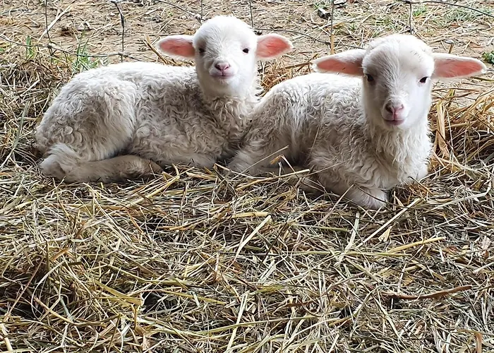 Wohlfuehloase Am Trausdorfberg Mit Sauna, Whirlpool Und Panorama Sankt Marein bei Graz