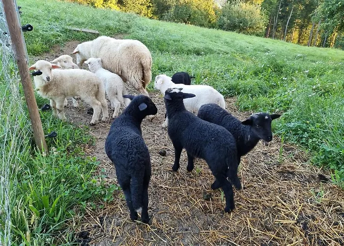 Wohlfuehloase Am Trausdorfberg Mit Sauna, Whirlpool Und Panorama *