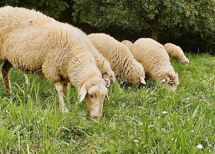 Wohlfuehloase Am Trausdorfberg Mit Sauna, Whirlpool Und Panorama * Sankt Marein bei Graz