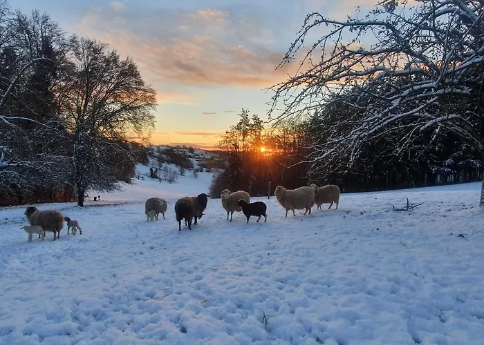 Wohlfuehloase Am Trausdorfberg Mit Sauna, Whirlpool Und Panorama 公寓 Sankt Marein bei Graz
