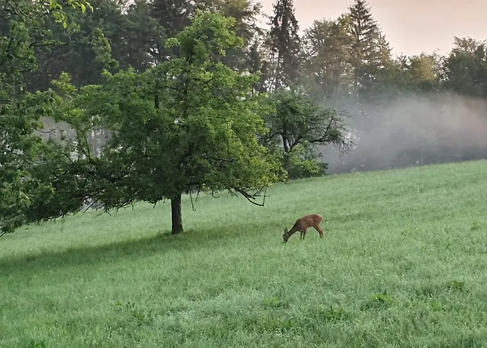 Wohlfuehloase Am Trausdorfberg Mit Sauna, Whirlpool Und Panorama 公寓 *