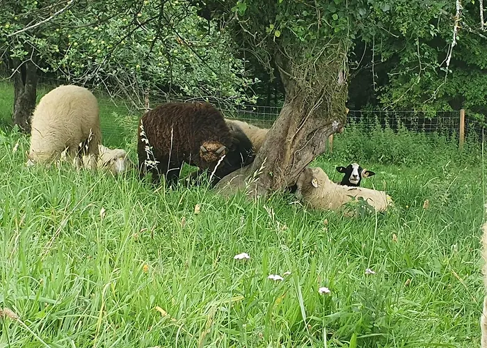 Wohlfuehloase Am Trausdorfberg Mit Sauna, Whirlpool Und Panorama Sankt Marein bei Graz