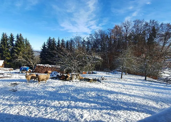 Wohlfuehloase Am Trausdorfberg Mit Sauna, Whirlpool Und Panorama شقة *