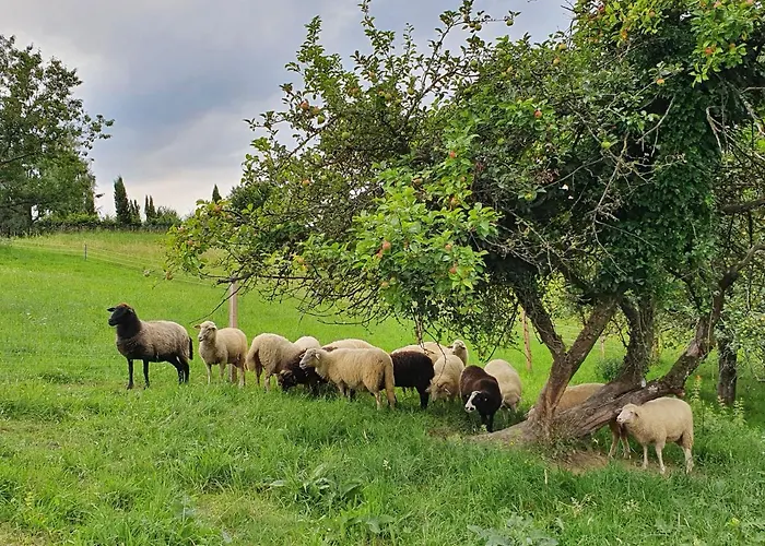 شقة Wohlfuehloase Am Trausdorfberg Mit Sauna, Whirlpool Und Panorama *