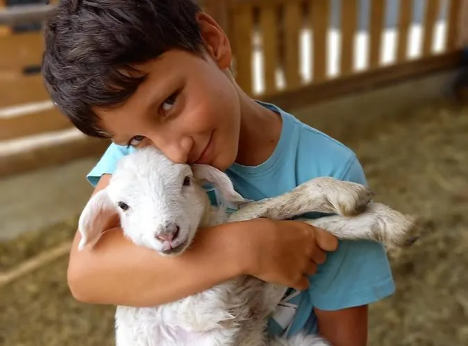 Wohlfuehloase Am Trausdorfberg Mit Sauna, Whirlpool Und Panorama *