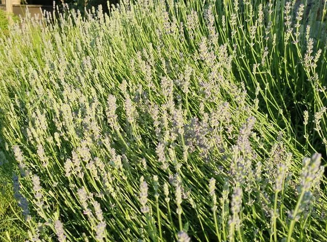 Wohlfuehloase Am Trausdorfberg Mit Sauna, Whirlpool Und Panorama Sankt Marein bei Graz