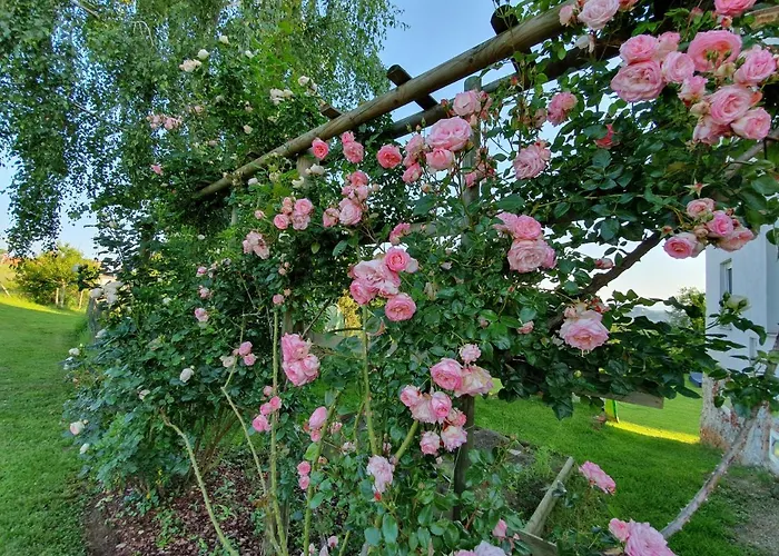 Wohlfuehloase Am Trausdorfberg Mit Sauna, Whirlpool Und Panorama * Sankt Marein bei Graz